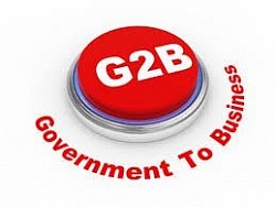 G2B SERVICES